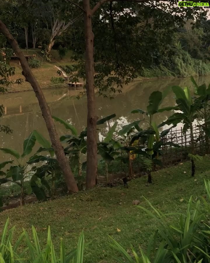 Michael Trevino Instagram - Had a very relaxing couple of days staying along the banks of the Ping River in Chiang Mai. I’ll be back soon @rayaheritage. . . . #thailandinsider #amazingthailand #rayaheritage#chiangmai Raya Heritage