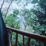 Michel Brown Instagram - Descubriendo un paraíso Una amigo tuvo un sueño hace muchos años … 🌳🌳🌳🌳🌳🌳🌳🌳🌳 @pueblodelsol_mx @ezeayarza 🙏