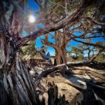 Michel Brown Instagram - Grand Canyon @margaritamparra Mohave Point, Grand Canyon