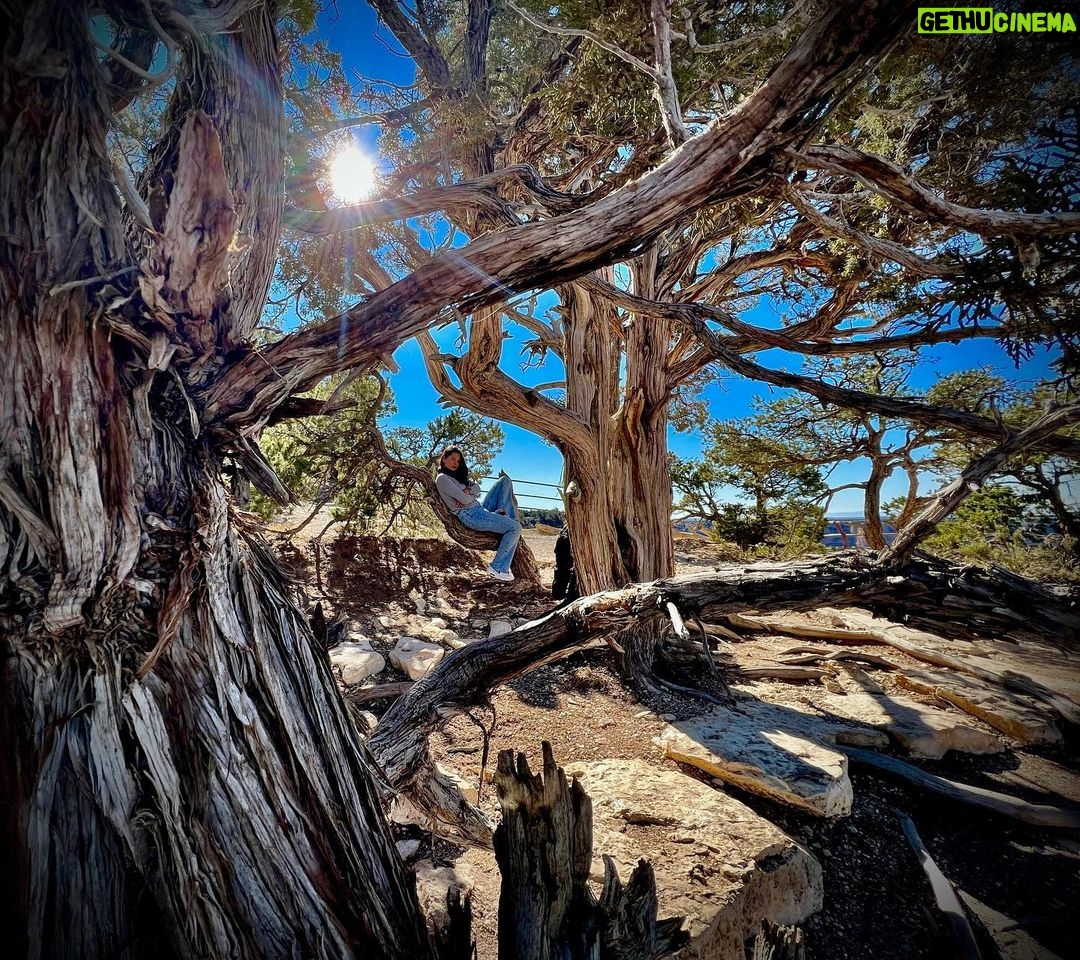 Michel Brown Instagram - Grand Canyon @margaritamparra Mohave Point, Grand Canyon