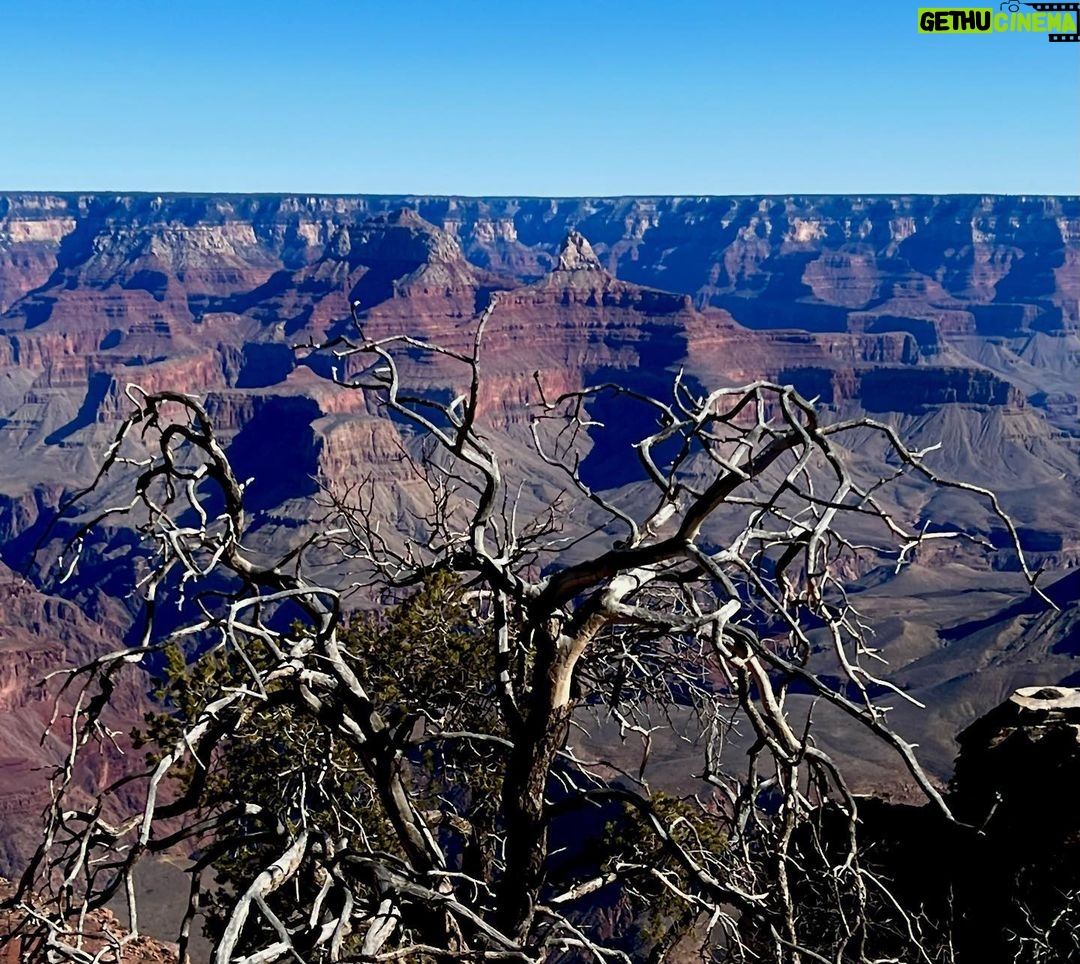 Michel Brown Instagram - Grand Canyon @margaritamparra Mohave Point, Grand Canyon