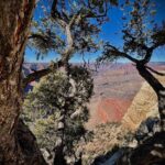 Michel Brown Instagram - Grand Canyon @margaritamparra Mohave Point, Grand Canyon