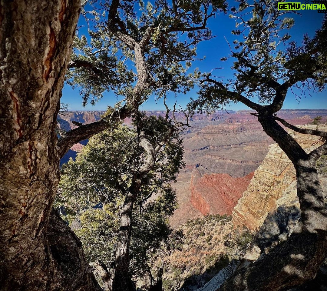 Michel Brown Instagram - Grand Canyon @margaritamparra Mohave Point, Grand Canyon