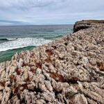 Michel Brown Instagram - Bufones de pria Los bufones son una belleza de fenómenos naturales originados por el efecto de la erosión del mar y la lluvia en la roca caliza, donde se hacen grietas y chimeneas que conectan el mar con la tierra. De mi plays preferidas de este viaje 🌊🙌