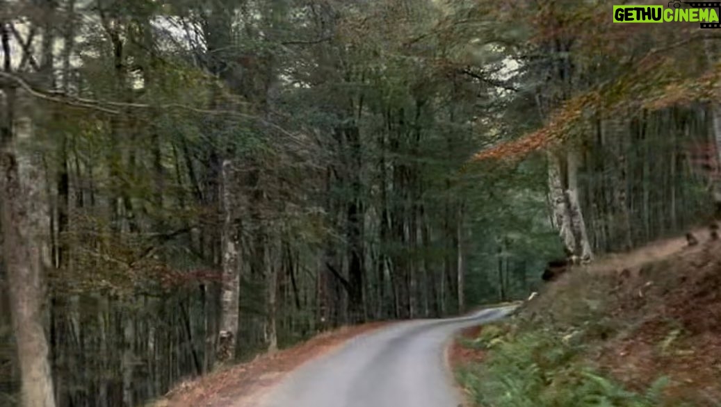 Michel Brown Instagram - Que se repita 🙌🏍️💨
