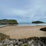 Michel Brown Instagram - Luego de estos 1600 km por el norte de España En Moto, en compañía de las maravillas de Cantabria y Asturias.le doy gracias a sus montañas ,sus acantilados, sus puertos de montaña que te dejan impávido, sus bosques de un verde único, sus maravillosas carreteras, sus cascadas,rías, y el maravilloso sonido de los cencerros que te acompaña por las montañas, sus hórreos maravillosos, los miles de genniucos apilados en las por el camino, su comida, su buena conversación en cualquier lugar en el que pares, la amabilidad de su gente y el inigualable orgullo que tienen los del norte por su tierra. me voy de aquí con el corazón más contento que nunca y miles de historias que contar..... que al final la vida de eso está echa. Qué valga la pena las horas de vuelo!! Qué pedazo de viaje tan bravo por fuera y por dentro #cantabria#asturias#españa#moto#viajar#pararlamaquina🧠