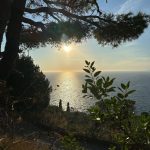 Michel Teló Instagram – Segundando com as fotos do domingão… que dia! 🩵
A ilha de Capri é o destino que todo casal merece conhecer, viu?! O sorriso fica largo e o coração quentinho de tanta coisa linda que têm pra ver e sentir! #Capri #ItaliaADois #TataEMichel