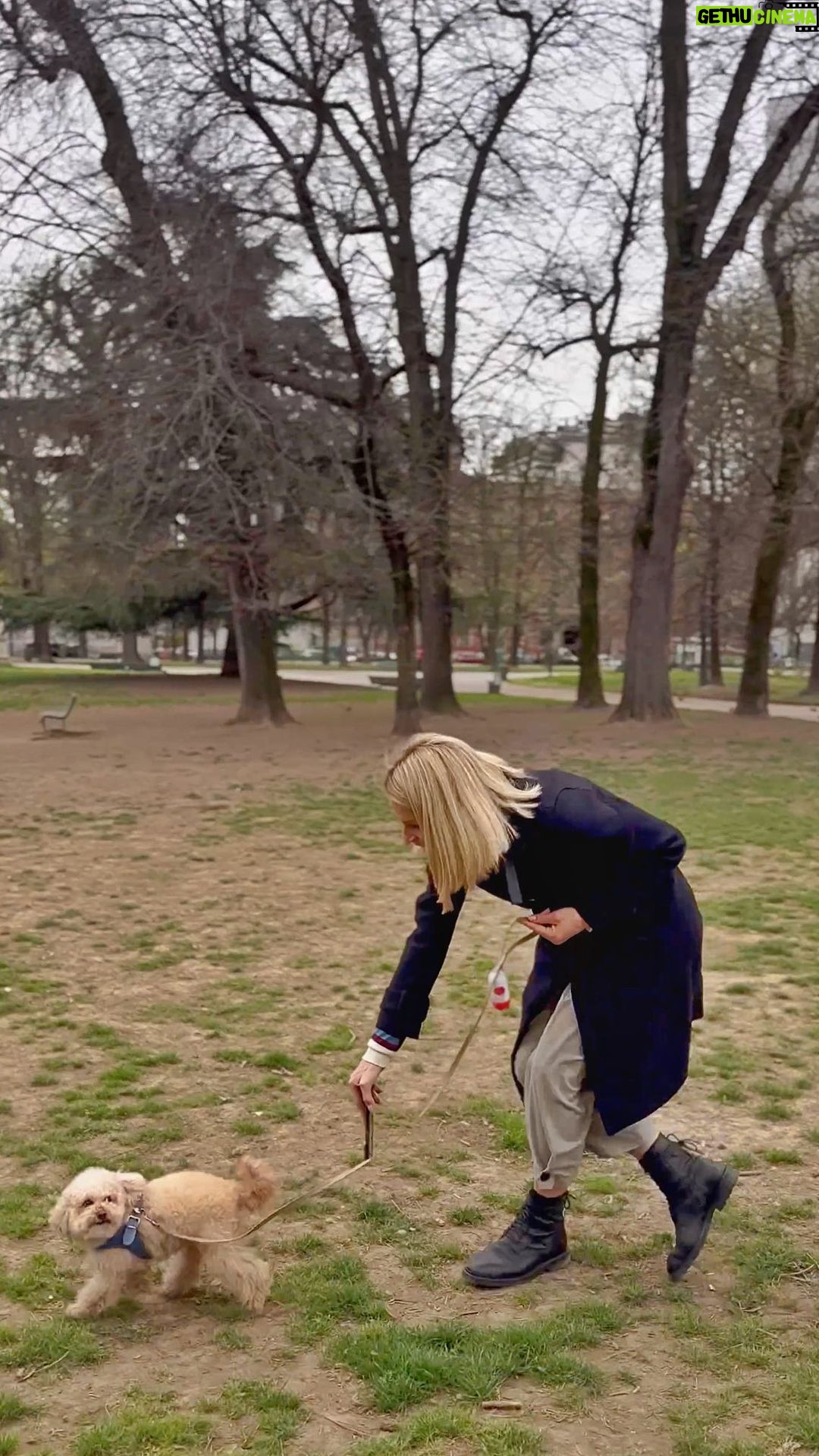 Michelle Hunziker Instagram - Dietro ogni video di animaletti cool e pucciosi che vedete sui social c’è un padrone a cui è partita la centralina… come me 😂