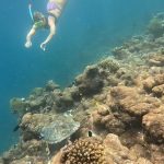 Michelle Hunziker Instagram - 🐬……wow…oggi così….