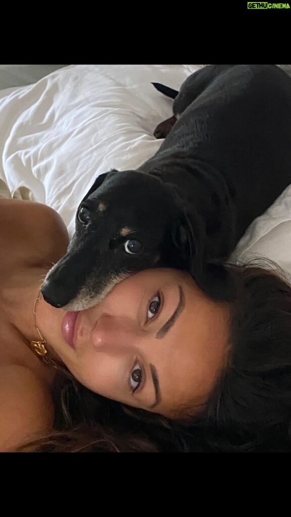 Michelle Keegan Instagram - It’s my baby’s 15th birthday today. 🎉 They say dogs imprint on one person where they form a strong loving attachment, someone they trust & seek comfort in & how lucky was I that you chose me? … From the moment I brought you home when I was 21 years old we’ve been inseparable, you’re my best friend, my confidant & my home. We’ve been through alot together girl & I couldn’t of asked for a better sidekick. Happy birthday Phoebe 🩷🩷🩷 (I know you can’t read any of this but I’ll let you eat whatever you want for the next week as it’s a special birthday)