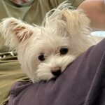 Michelle Pfeiffer Instagram - Dot Dump. 🤍