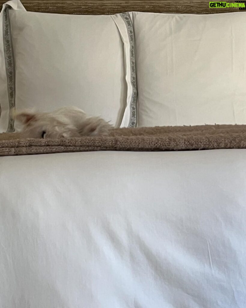 Michelle Pfeiffer Instagram - Oh, to be able to sleep like this….💤💤💤