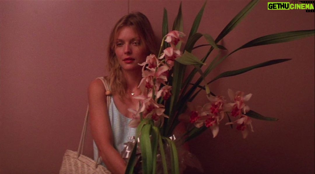 Michelle Pfeiffer Instagram - That first day of Spring, mood. 🌸