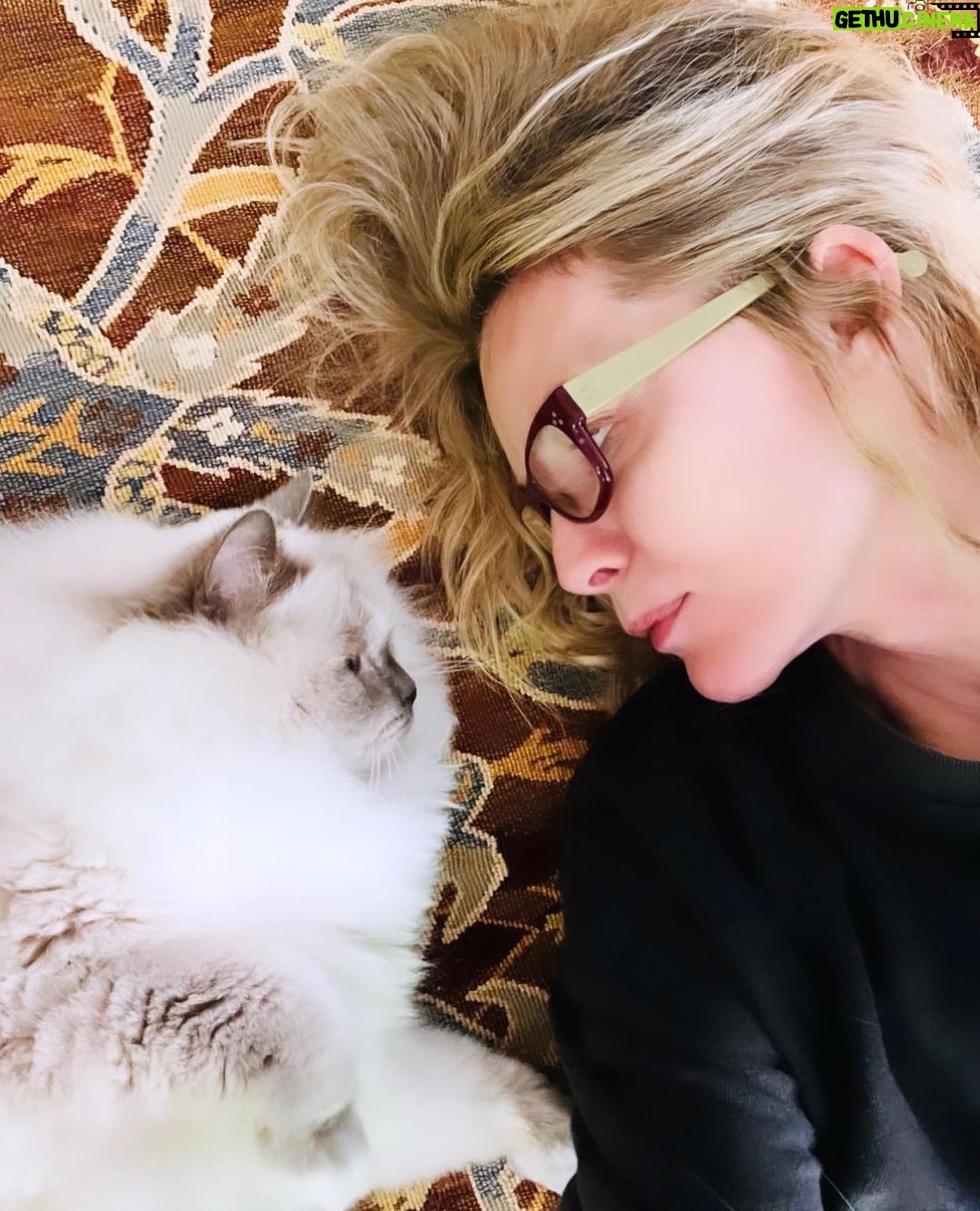 Michelle Pfeiffer Instagram - Me and my cat. 💛😻 Bella kisses on #nationalcatday