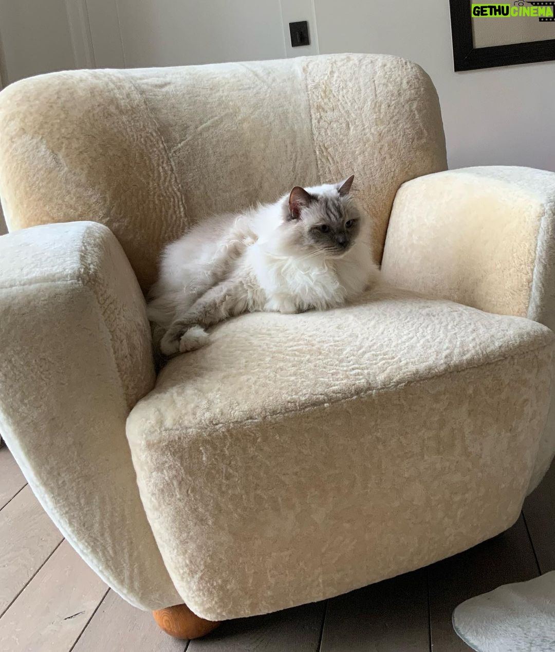 Michelle Pfeiffer Instagram - Goldilocks found her chair. 🤍