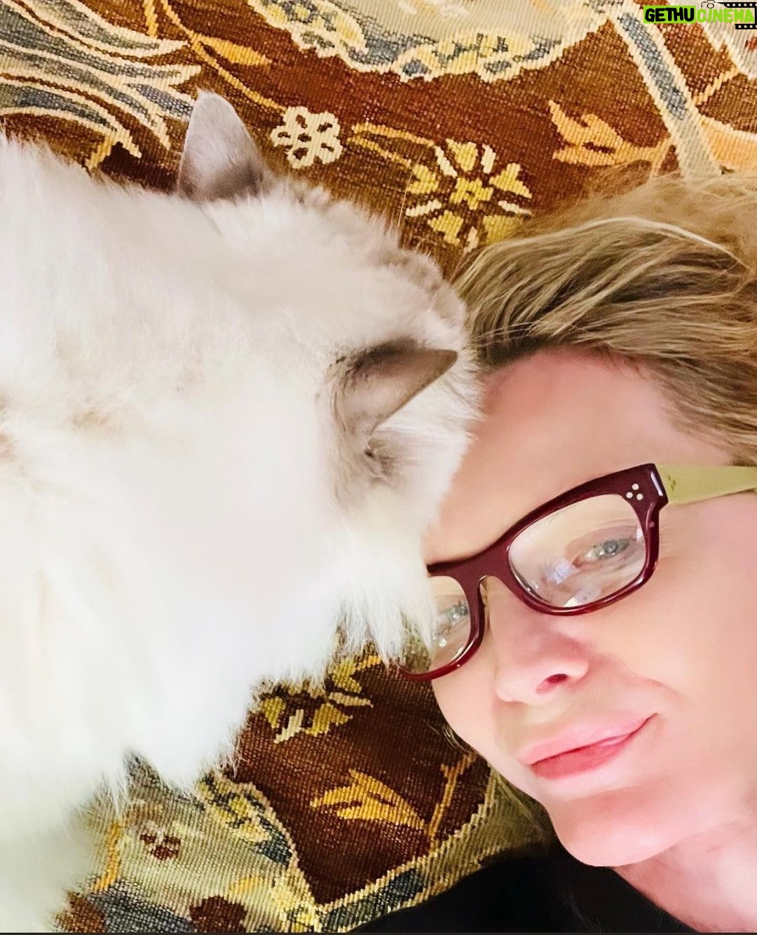 Michelle Pfeiffer Instagram - Me and my cat. 💛😻 Bella kisses on #nationalcatday