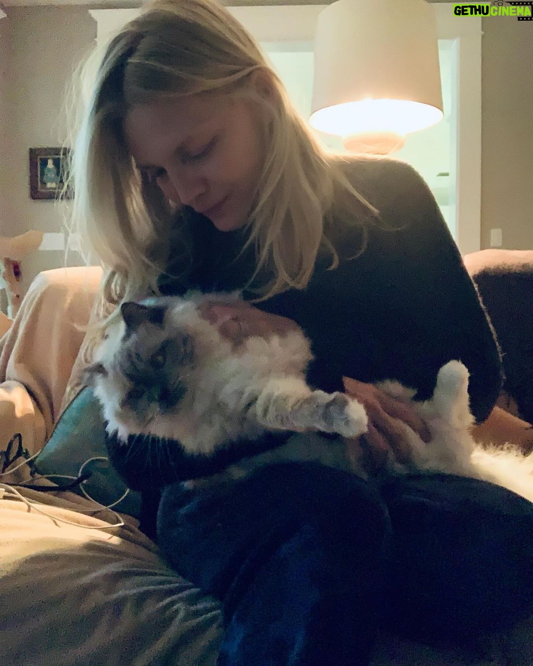 Michelle Pfeiffer Instagram - I know it’s been a while since you’ve seen Bella. 🤍🐾