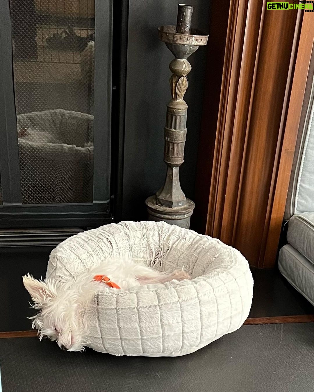 Michelle Pfeiffer Instagram - Me, on any Friday afternoon.