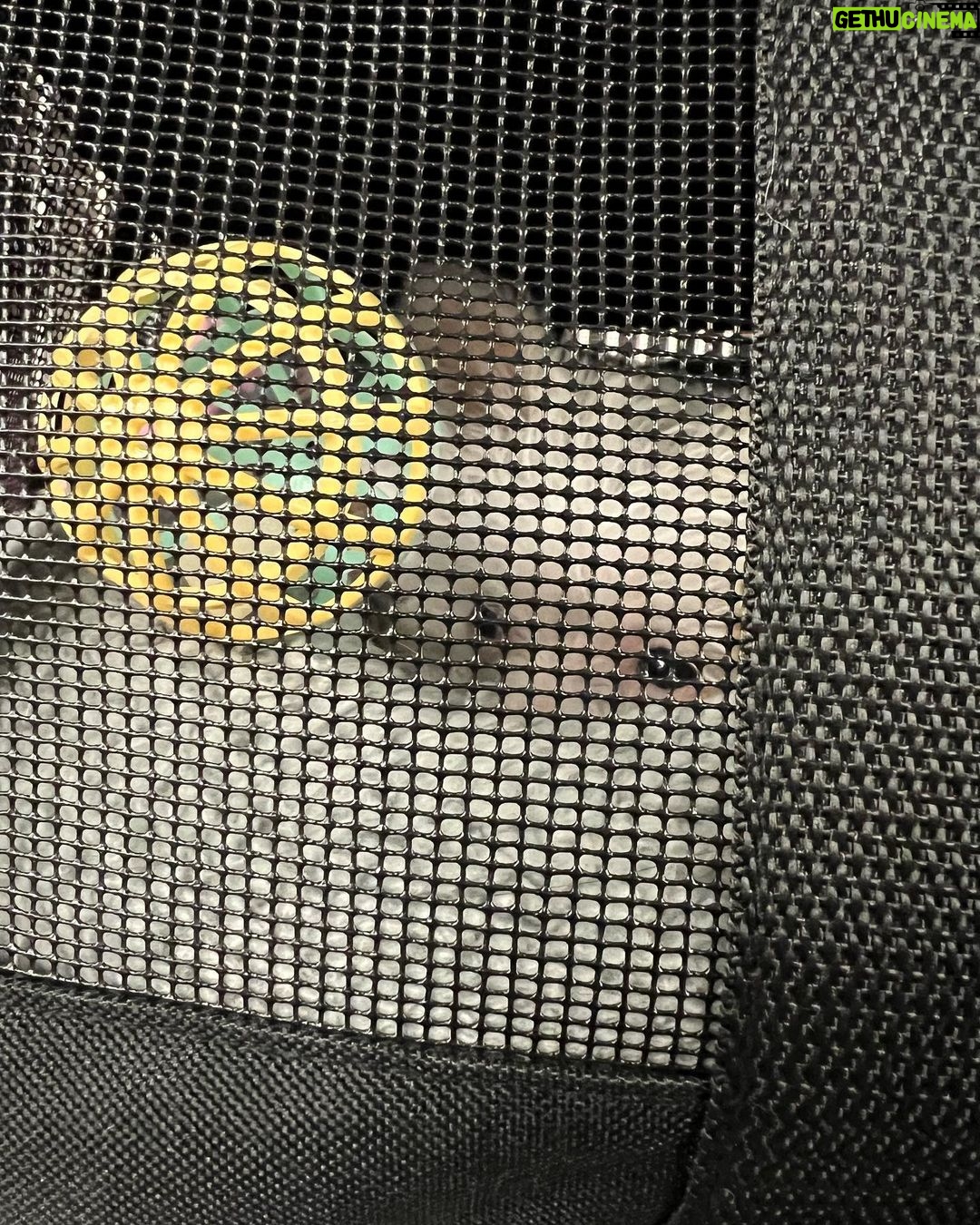Michelle Pfeiffer Instagram - Dot’s first flight 💛