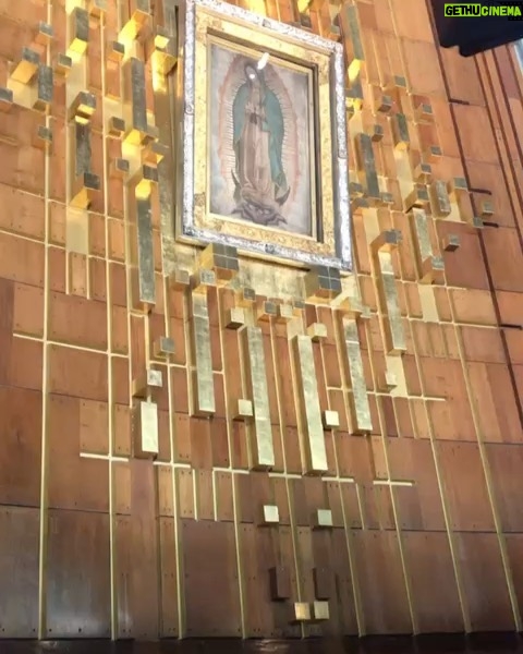 Miguel Varoni Instagram - Hoy arrancamos otra gran aventura con mi @virgendeguadalupe de la mano ... nos vamos con todo papá !!!