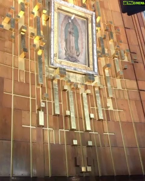 Miguel Varoni Instagram - En tus manos como siempre ... y GRACIAS siempre por estar conmigo y acompañarme en cada proyecto ... GRACIAS GRACIAS GRACIAS.