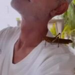 Miguel Varoni Instagram - @pedrocapo acompañando este bello romance … y es que así somos “ni tan novios ni tan amigos”