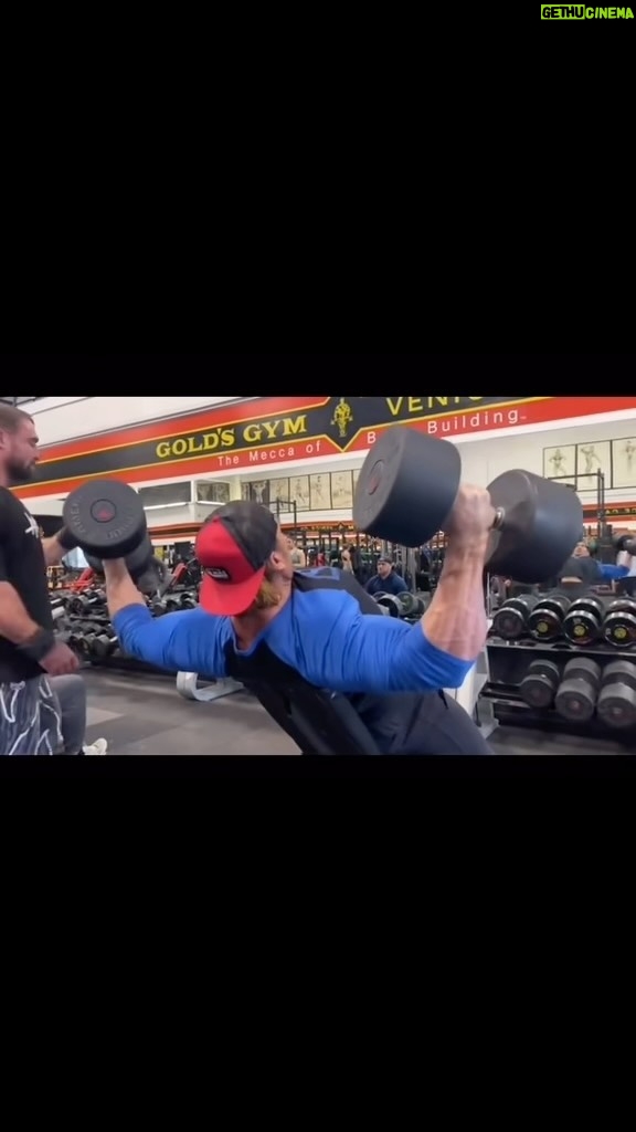 Mike O'Hearn Instagram - No idea what Iām doing š¤·š¼āāļø