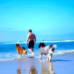 Mike O’Hearn Instagram – My favorite time to recoup from work is with my pups ❤️

Who can relate??
