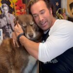 Mike O'Hearn Instagram - Cameos for a fun gift 🎁 for Christmas 🎅 From pep-talk, motivation, Christmas wishes birthday wishes, or even some funny roasts for a friend or family member Khaleesi 🐺 and I doing fun cameos for last-minute Christmas gifts 🎁 Your Mom's House