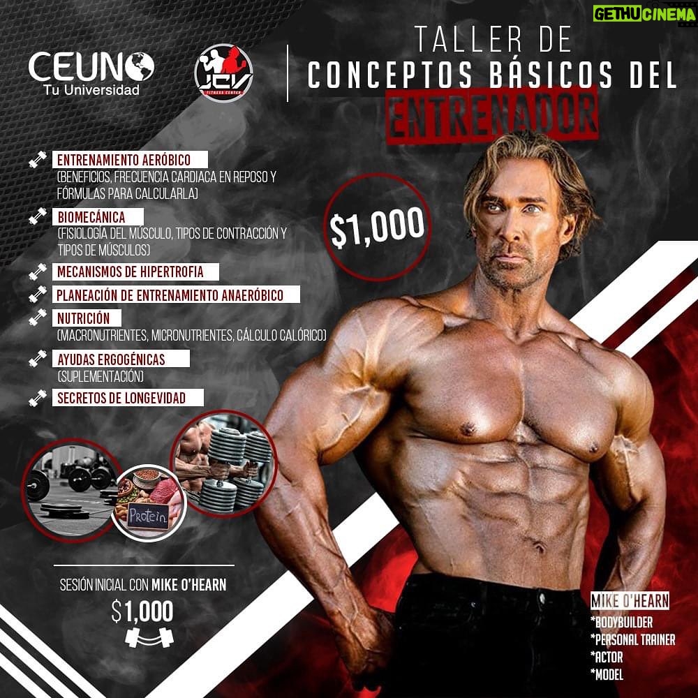 Mike O'Hearn Instagram - ๐จ Mike O'Hearn en Hermosillo, Sonora, Mรฉxicoโผ๏ธConferencia y Taller. Repost de @ceunotuuniversidad CEUNO Tu Universidad te invita a su conferencia inicial ๐๐ซ๐ข๐ง๐๐ข๐ฉ๐ข๐จ๐ฌ ๐๐๐ง๐๐ซ๐๐ฅ๐๐ฌ ๐๐๐ฅ ๐๐ง๐ญ๐ซ๐๐ง๐๐ฆ๐ข๐๐ง๐ญ๐จ ๐
๐ขฬ๐ฌ๐ข๐๐จ ๐ช๐ผ๐๐ป ๐๏ธ Sรกbado 03 de febrero 2024 ๐ CEUNO Tu Universidad campus Hermosillo โฐ 11:00am a 12:pm Taller de ๐๐จ๐ง๐๐๐ฉ๐ญ๐จ๐ฌ ๐๐ฬ๐ฌ๐ข๐๐จ๐ฌ ๐๐๐ฅ ๐๐ง๐ญ๐ซ๐๐ง๐๐๐จ๐ซ impartido por el entrenador personal y siete veces modelo de fitness del aรฑo ๐๐ข๐ค๐ ๐โ๐๐๐๐ซ๐ง ๐ช๐ผ๐๐ป en @jcvfitnesscenter de 6:00 a 9:00 pm. ๐ด Aprovecha nuestras BECAS, Por tiempo Limitado. ๐ ๐ ๐ผ๐ฑ๐ฎ๐น๐ถ๐ฑ๐ฎ๐ฑ: PRESENCIAL y ONLINE a travรฉs de plataforma ZOOM. ๐ Sesiones quincenales ๏ฟฝ Manda mensaje por WhatsApp al siguiente link https://wa.me/526621914452?text=HolaArelyAyalamegustararecibirinformacinsobrelacertificacin