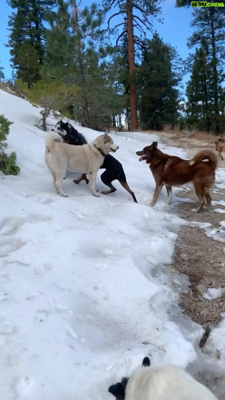 Mike O'Hearn Instagram - Snow in Los Angeles hike ❄️