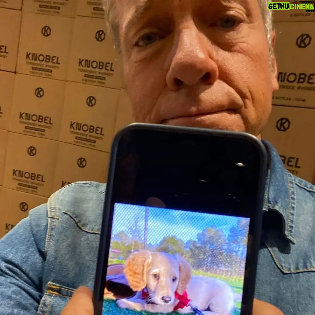 Mike Rowe Instagram - Are the people in Tennessee friendlier than most other people in most other places? That’s hard to say. You can find friendly people everywhere, but I can tell you that it’s especially easy to find them at @totalwinenashville here in Brentwood. A big thanks to the staff, and the three hundred or so Tennesseans who came out this morning for a handshake, a photo, and a signed bottle of Knobel. I'm much obliged. A special shoutout to McKenzie, the only dog I’ve ever been asked to autograph, and Baby Max, who didn't have his ID, and could therefore not complete his transaction. See you in 20 years, Max. Also, a friendly nod to a rather adorable puppy who was named “Knobel,” in honor of my grandfather. Speaking of which, the Barrel Strength (121 proof) is not yet available in stores, but preorders can be placed at Knobelspirits.com, for shipping in time for Father’s Day. In other news, you can still register for my conversation with @DaveRamsey at 7pm CDT tonight . Sign up for the livestream at Ramseysolutions.com. It's free. We’re calling it America’s Labor Crisis, because we’ve got one, and something needs to be done. PS. The enormous cock in front of the tasting room isn't mine... Link in bio . . . #whiskey #tennesse #ramseysolutions #fathersday Nashville, Tennessee