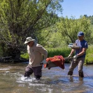 Mike Rowe Instagram - As season finales go, tonight’s episode of Dirty Jobs is a good one. We start in Logan, Utah, where the local beaver population is running amuck. Rather than kill them, which was the preferred method of beaver control for many decades, I meet Nate Norman and a group of ecologists determined to relocate them - a laborious process that involves trapping them and transporting them into the mountains where we build a dam for them, and then release them into the wild, far from the farmland and golf courses they seem bent on destroying. Along the way, we weigh them, tag them, and identify their sex, (not their gender.)

This is more complicated than you might think, since the beaver's sex organs are inside the body. They have only one opening, a cloaca, which they use for reproduction, scent-marking, defecation and urination. It’s a very busy hole, in other words, and even though the male's penis has a cartilaginous baculum (a bone), it’s impossible to find. The only way to determine male from female is to squeeze the fluid out of their castor gland – also located in the cloaca – onto a paper towel, and sniff it. The girl stuff smells different than the boy stuff, as you'll learn tonight. One more thing off my bucket list...

If that’s not enough to get your attention, I head from Utah to Hollywood, to meet the special effects artist who makes all the slime and fake cement for your favorite movies and TV shows. The number of movies and TV shows that require slime and fake cement is extraordinary, and over the years, Scott Heger has made most of it. Most famously, Scott made the slime in Ghostbusters that wound up all over Bill Murry when a poltergeist exploded in his face, way back in 1984. Tonight, nearly 40 years later, the same stuff winds up all over me, and all over the Dirty Jobs logo. Looks pretty good, in my opinion. Not as good perhaps, as the musky spunk from a beaver’s castor gland, but good enough for what could be the last episode of #DirtyJobs ever produced. Tonight at 8pm @Discovery.

If you can’t watch, please DVR it and watch before Wednesday. Unless of course, you’re sick of me and sick of Dirty Jobs and tired of being told what to do.

Carry on.