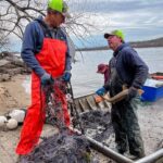 Mike Rowe Instagram - Mike – Be honest. How was the caviar from the Mississippi River? I’m only asking because a) you don’t look like a caviar kind of guy, and b) it’s hard to imagine a less appetizing scene than the bloodbath wherein you extracted the eggs from the fish. Wow! Also, you’ll be pleased to know that my wife had just taken a mouthful of chardonnay when you said, and I believe this a direct quote, “And really, who doesn’t want a little Rowe in their mouth?” The resulting spit take was one for the ages. Ned Howard Hi Ned I don’t know what a “caviar kind of guy” looks like, but when it comes to food, if it’s on the table, I’ll eat it. And as a rule, I enjoy everything I eat, including caviar. (The quote was accurate, by the way, but I was referring to “roe,” not “Rowe.” Regardless, please give your wife my regards!) As for the business of getting the eggs out of the fish and onto your plate, I’m afraid there’s no other way to do it. Like the crab on the bottom of the Bering Sea, it takes a lot of work, a lot of risk, and a lot of time to get a tin of caviar out the door and onto your blini. And in this case, a fair amount of blood. What you saw at Show Me Caviar LLC is precisely what it takes to catch, process, and ship the food in question, and I want to thank Cliff and Cara for being so transparent about their business, and for welcoming me aboard The Hillbilly Deluxe. Good times! Quick sidebar. I never want Dirty Jobs to be a lecture or a sermon, but I will use the show whenever I can to illustrate those instances where I think many people – myself included - have become disconnected from a few important things. Mostly, I’m interested in our overall relationship with work, and our collective definition of what it means to have a “good job.” Dirty Jobs has been a great way to challenge some of the stigmas and stereotypes that keep people from exploring all sorts of careers. . . . @discovery #dirtyjobs