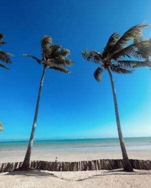 Mileide Mihaile Instagram - Hoje me despedi de Maceió em grande estilo. Obrigado pelo carinho, receptividade, amor e pela troca surreal que foi nosso réveillon. Volto em breve Alagoas .🌊💙