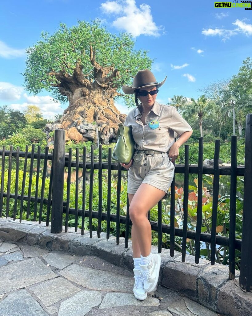 Mileide Mihaile Instagram - Dump 1/8 Eu sempre sonhei em passar o meu aniversário na Disney, e hoje dei início a esse sonho em um dia mágico cheio de amor e realizações. Nada a pedir, só a agradecer a Deus por tudo que Ele confia em minhas mãos! 🐭 Animal Kingdom