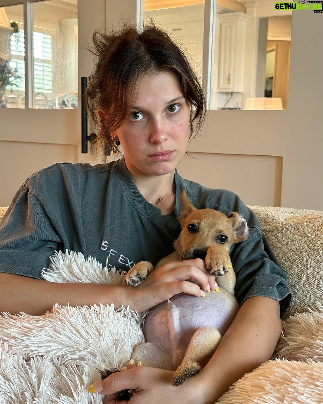 Millie Bobby Brown Instagram - when he asks me what I’m up to