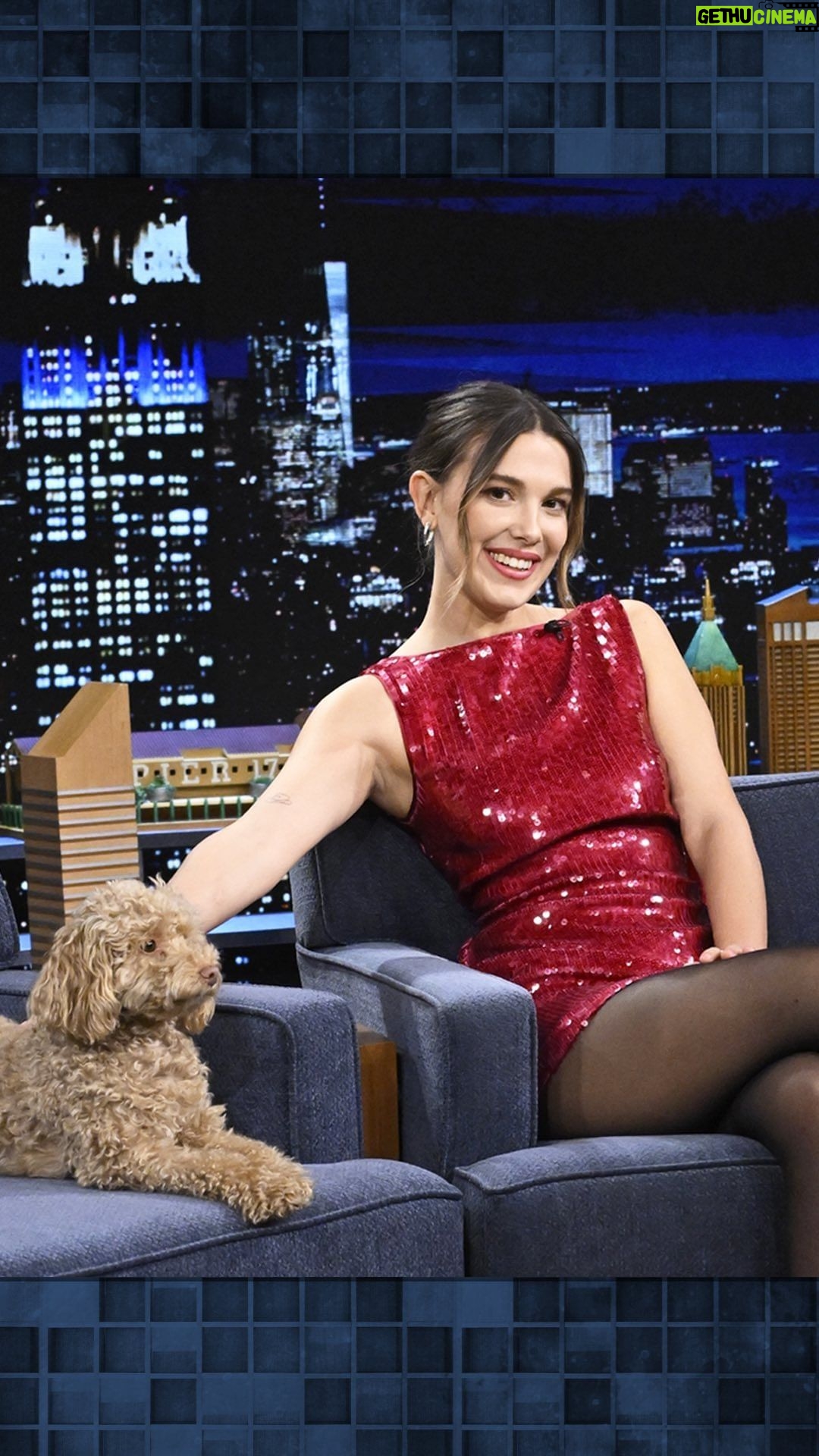 Millie Bobby Brown Instagram - @milliebobbybrown’s puppy Winnie makes her Tonight Show debut 🥹 #FallonTonight The Tonight Show Starring Jimmy Fallon
