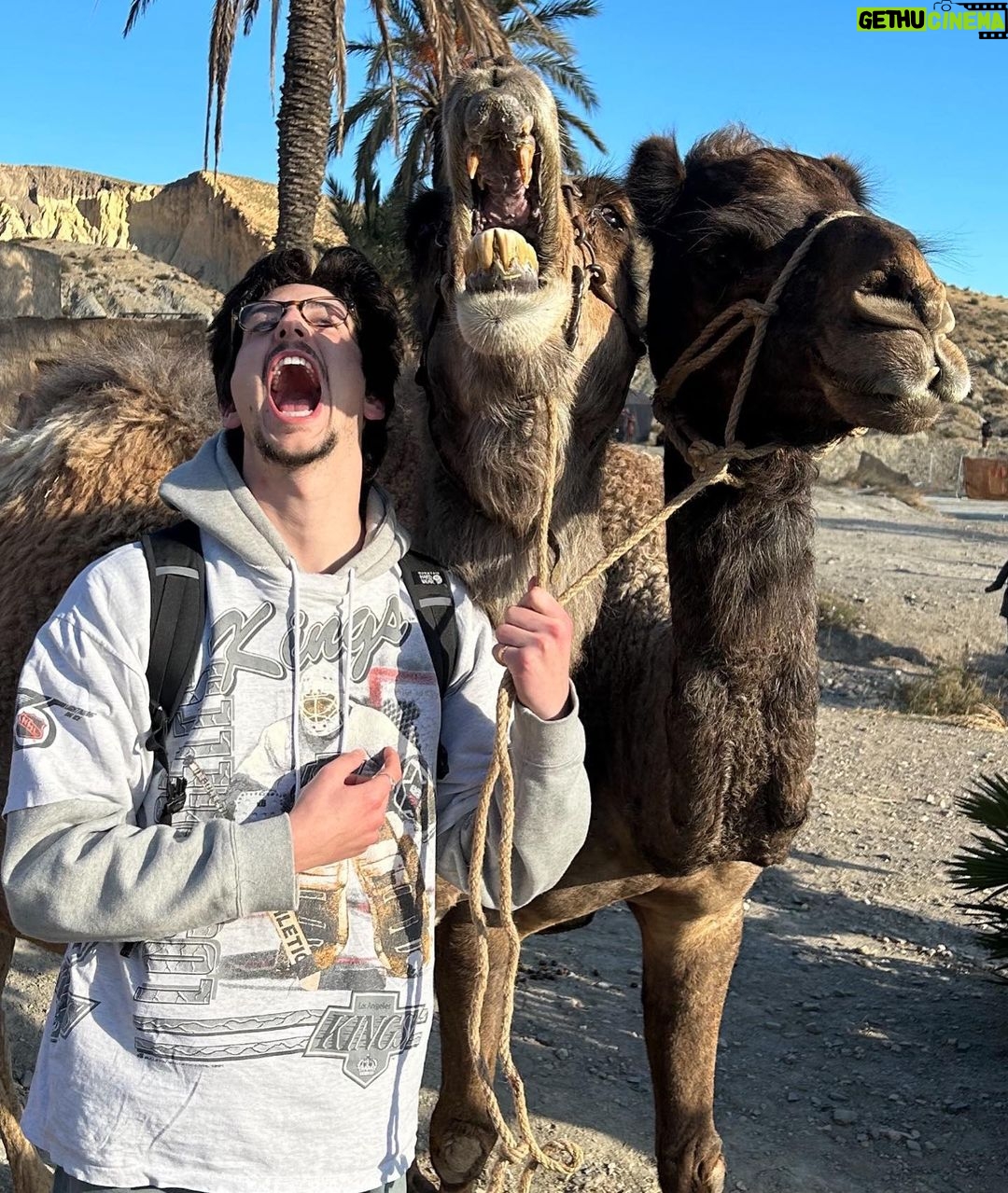 Milo Manheim Instagram - I can’t overemphasize what this project means to me. The gratitude is endless. YALL ARE GONNA LOVE THIS ONE🐪🌴✨ España