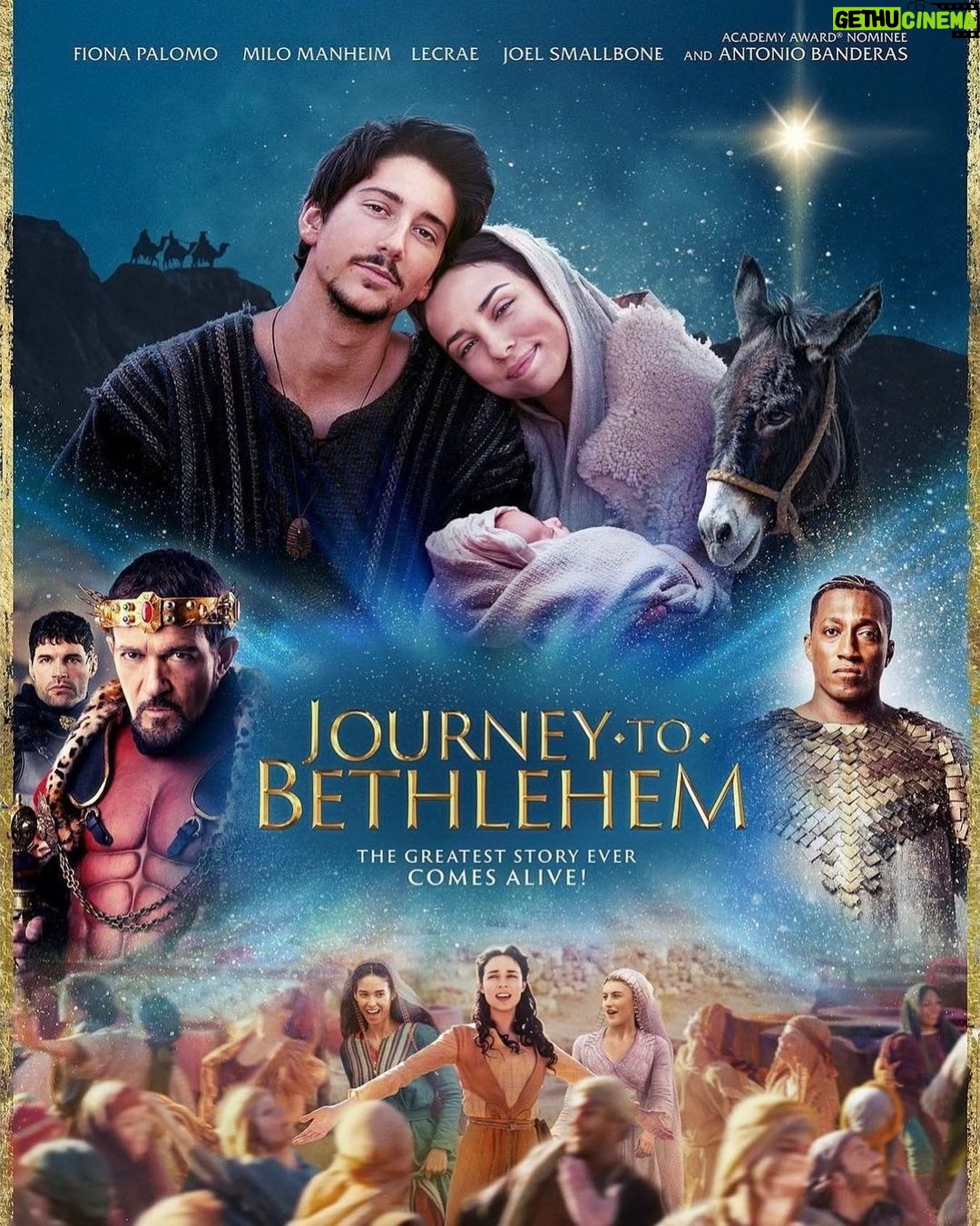 Milo Manheim - 274.7K Likes - GO SEE JOURNEY TO BETHLEHEM IN THEATERS !! This experience was life changing for me. So happy to finally be able to spread the love! š¤ AND ITS A MUSICAL