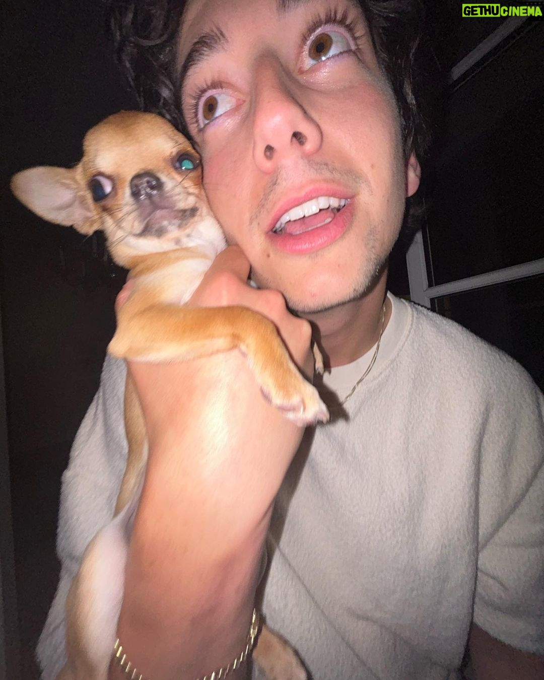 Milo Manheim Instagram - Got a Lou at home. Got a Lu in France.