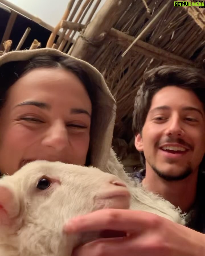 Milo Manheim - 439.6K Likes - Journey to Bethlehem is now available to BUY and RENT!! AAAND itās in theaters go see it before XMAS! āØ