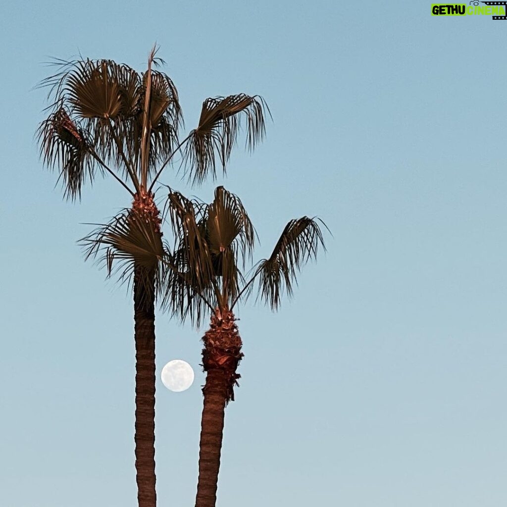 Milo Ventimiglia Instagram - Once a day for Lovers. Playa Vista, CA. MV