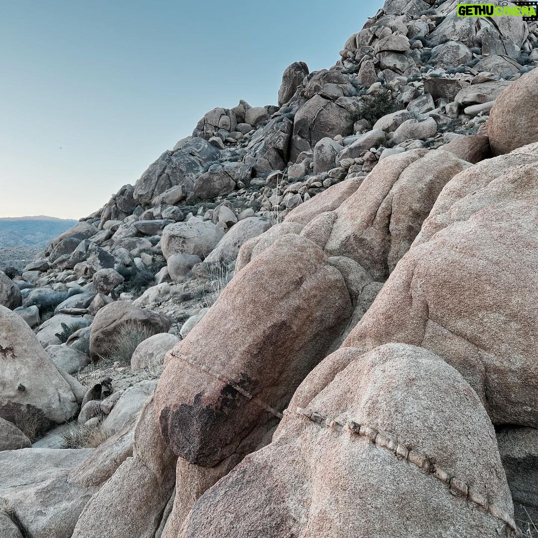 Milo Ventimiglia Instagram - Planet desert. Joshua Tree, CA. MV
