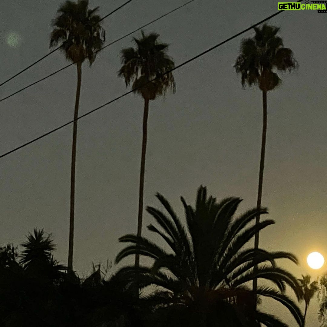 Milo Ventimiglia Instagram - Los Angeles, CA. MV