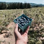 Milo Ventimiglia Instagram - Favorites. McMinnville, OR. MV