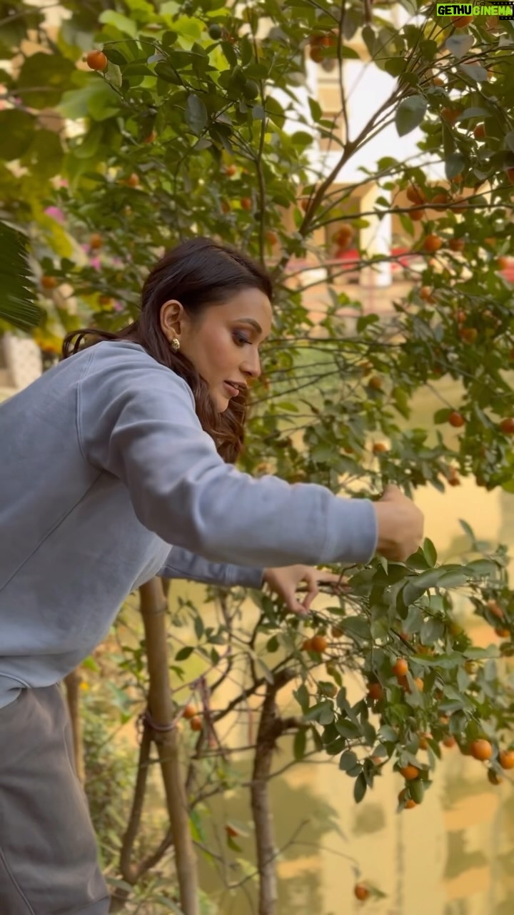 Mimi Chakraborty Instagram - Oranges 🍊 any1 🐵 🐒