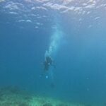Mimi Chakraborty Instagram - Don’t believe what they say. go out there and do it yourself…🐬🦑🤿🌊🪸🐚🌊🐠🪼 BUCKET LIST ✅