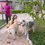 Mimi Chakraborty Instagram - Life🧿🌍lines, laughlines🐺 🐕