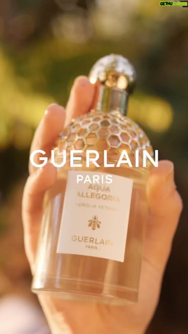 Mina El Hammani Instagram - La generosidad de la naturaleza en un frasco 🌺 🌼🍋. Aqua Allegoria Nerolia Vetiver es un homenaje a la luz del Mediterráneo. Inspirada en la naturaleza y respetuosa con el planeta 🌍 La nueva colección de Aqua Allegoria se reinventa como símbolo de los valores e innovación sostenible de @Guerlain #AquaAllegoria #Guerlain